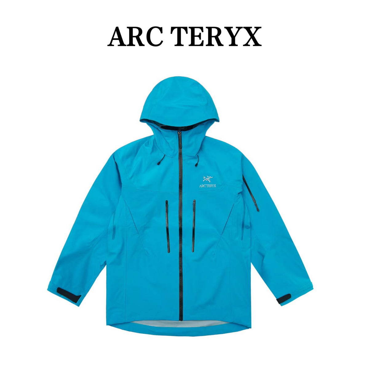 Arc'teryx Alpha SV Gen 6 Waterproof Hard Shell Hooded Jacket for Skiing Hiking Outdoor Unisex Labyrinth